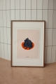 image00001