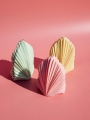 image00007