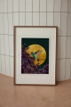 image00016