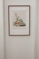 image00045