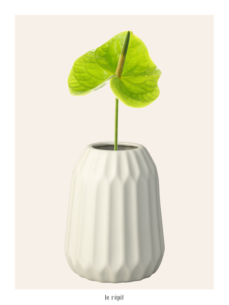 Plakat Anthurium Lime