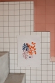 image00007.jpeg
